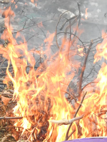 美しいビビッドの閉鎖は火で焼かれた薪を精錬した キャンプファイアと灰のオレンジの炎と大気暖かい背景 素晴らしいフルフレームのたき火のイメージ — ストック写真