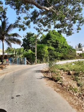 Bangalore, Karnataka, Hindistan-Mayıs 09 2021: Elektrik direği ve yolda ağaçların gölgesi olan güzel Bangalore Köy yollarının kapatılması. Bisiklet süren genç adam..