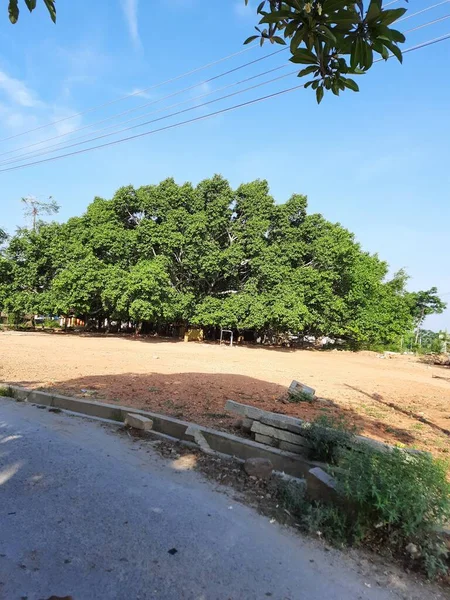 Bangalore Karnataka Indien Mai 2021 Nahaufnahme Schöner Straßen Des Ländlichen — Stockfoto