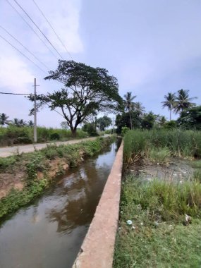 Kolakarana Doddi, Mandya Bölgesi, Karnataka, Hindistan 'daki güzel su kanalı ve göletin yakınları.