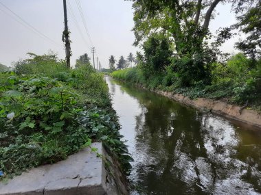 Kolakarana Doddi, Mandya Bölgesi, Karnataka, Hindistan 'daki güzel su kanalı ve göletin yakınları.