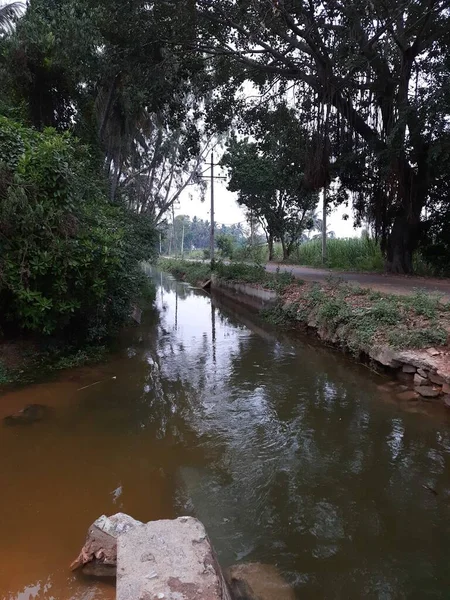 Närbild Vacker Vattenkanal Och Damm Byn Kolakarana Doddi Mandya District — Stockfoto