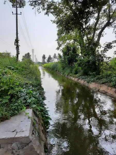 Closeup Belo Canal Água Lagoa Aldeia Kolakarana Doddi Mandya District — Fotografia de Stock