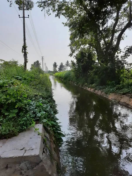 Closeup Belo Canal Água Lagoa Aldeia Kolakarana Doddi Mandya District — Fotografia de Stock