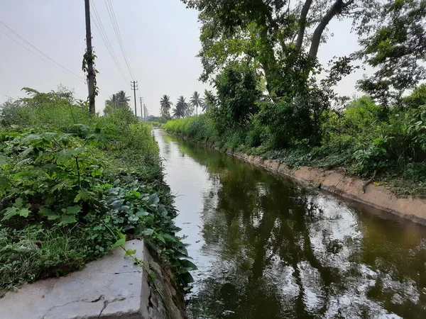 Kolakarana Doddi, Mandya Bölgesi, Karnataka, Hindistan 'daki güzel su kanalı ve göletin yakınları.