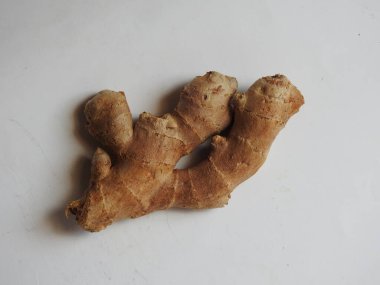 Group of Spice and Medicinal Fresh ginger rhizome with green leaves isolated on white background.