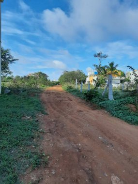 Yakın plan ve güzel bir Hint köyü manzarası. Kum yolları doğa ya da orman arka planında.