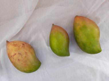 Taze Totapuri ya da beyaz arka planda izole edilmiş Gini Moothi Mango meyvesi