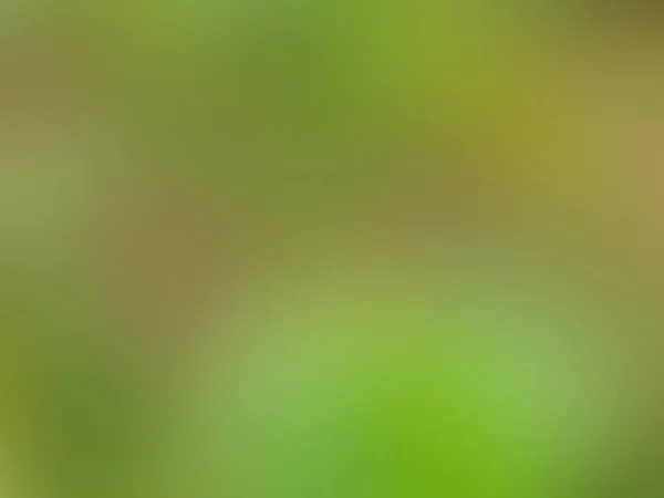 Closeup Blur Green Gradient Transition Abstract Background — Stock Photo, Image