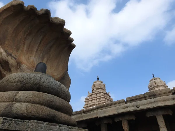 Closeup Pedra Bonita Esculpida Enorme Naga Lingam Lepakshi Templo Hindupur — Fotografia de Stock