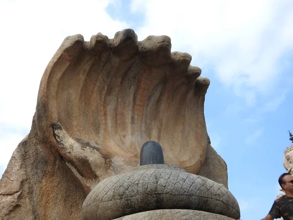 Closeup Pedra Bonita Esculpida Enorme Naga Lingam Lepakshi Templo Hindupur — Fotografia de Stock