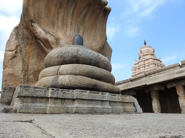 Closeup Pedra Bonita Esculpida Enorme Naga Lingam Lepakshi Templo Hindupur — Fotografia de Stock