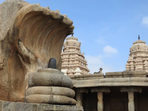 Closeup Pedra Bonita Esculpida Enorme Naga Lingam Lepakshi Templo Hindupur — Fotografia de Stock