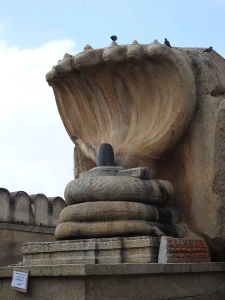 Close Van Prachtige Steen Gesneden Enorme Naga Lingam Lepakshi Tempel — Stockfoto