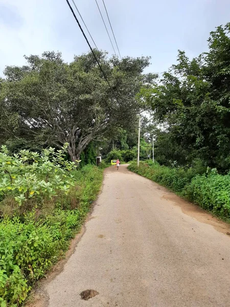 Nahaufnahme Der Schönen Indischen Landschaft Oder Dorfstraßen Mit Banyan Baum — Stockfoto