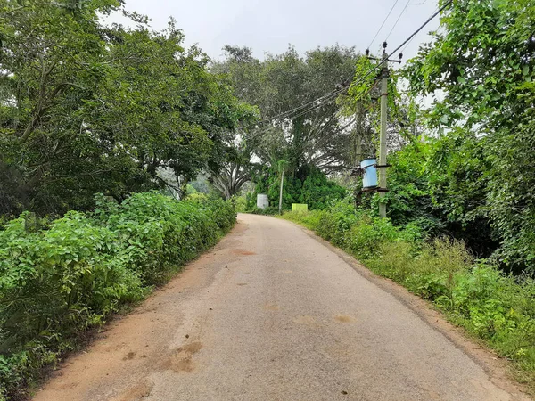 由美丽的印度乡村路边或乡村道路与道路中间的班扬树构成的屏障 — 图库照片