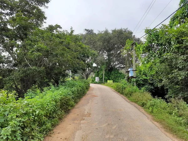 由美丽的印度乡村路边或乡村道路与道路中间的班扬树构成的屏障 — 图库照片