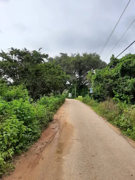 由美丽的印度乡村路边或乡村道路与道路中间的班扬树构成的屏障 — 图库照片