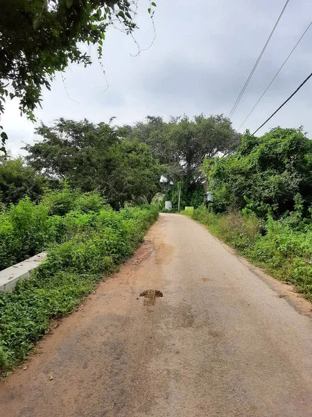 由美丽的印度乡村路边或乡村道路与道路中间的班扬树构成的屏障 — 图库照片