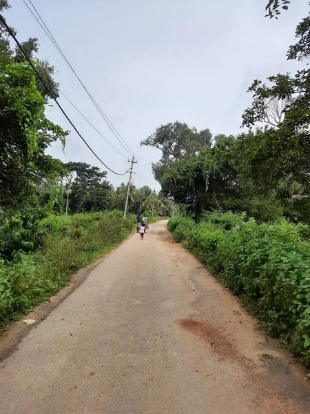 道路の真ん中にガジュマルの木と美しいインドの田舎や村の道路の閉鎖 — ストック写真