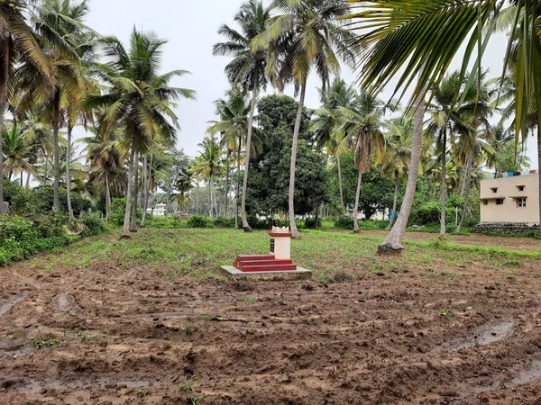Крупный План Традиционной Индийской Гробницы Могилы Внутри Сельскохозяйственного Поля Захоронением — стоковое фото