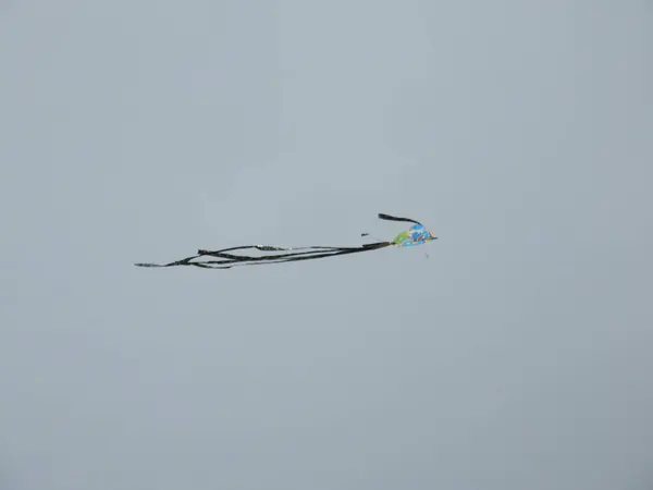 Closeup Colorful Kites Flying Wind Bangalore City Heaven Cloud Sky — Stock Photo, Image