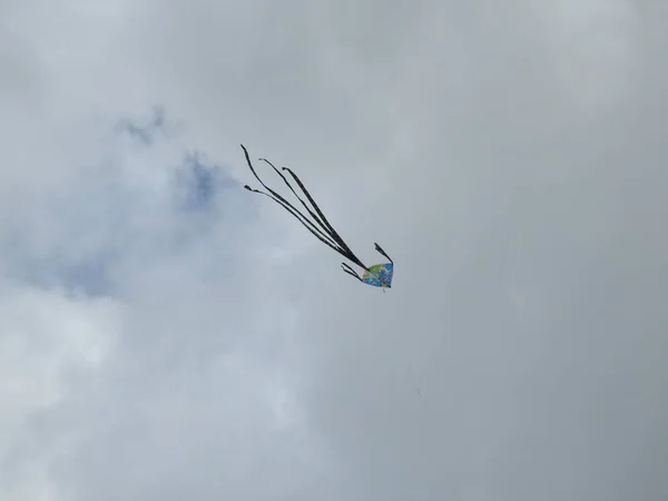 Primer Plano Cometas Colores Volando Viento Ciudad Bangalore Con Cielo — Foto de Stock