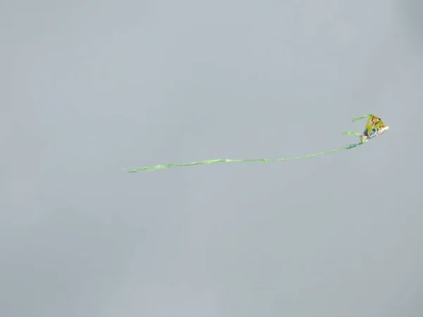 Closeup Pipas Coloridas Voando Sobre Vento Cidade Bangalore Com Céu — Fotografia de Stock