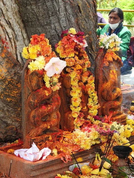 Channapatna Karnataka India Ago 2021 Primer Plano Estatua Serpiente Piedra — Foto de Stock