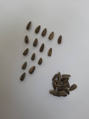 Yığın yığını ve siyah renkli ay çekirdeği yığınının yakın plan beyaz arkaplanda kabuk dokusu izole