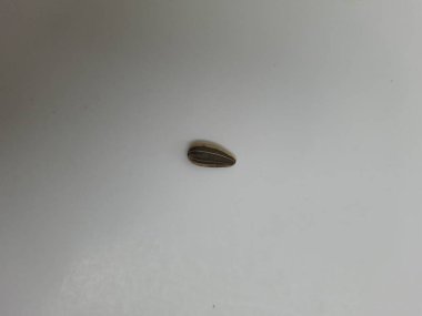 Yığın yığını ve siyah renkli ay çekirdeği yığınının yakın plan beyaz arkaplanda kabuk dokusu izole