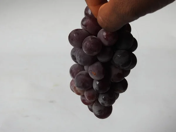 Close Van Mooie Donkerrode Zwarte Kleur Druiven Bos Geïsoleerd Witte — Stockfoto