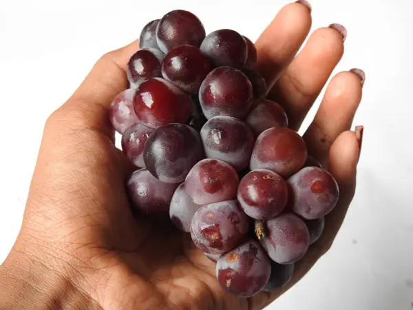 Close Van Mooie Donkerrode Zwarte Kleur Druiven Bos Geïsoleerd Witte — Stockfoto