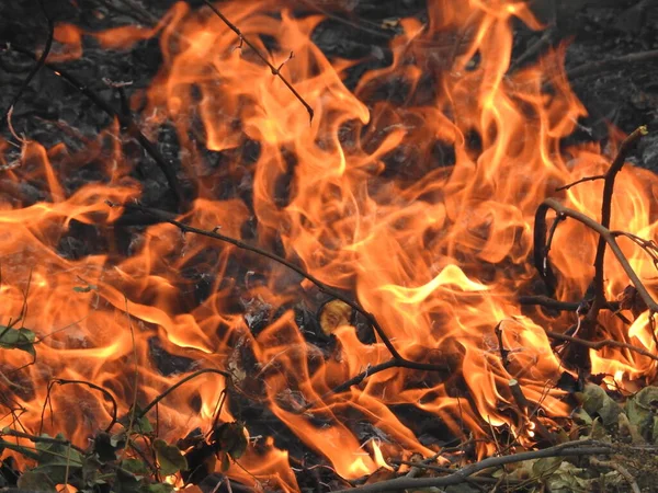 Nahaufnahme Wunderschöner Lebendig Glimmender Feuerhölzer Die Flammen Aufgingen Atmosphärisch Warmer — Stockfoto