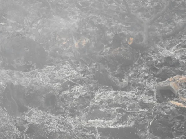 Κοντινό Πλάνο Των Όμορφων Ζωηρόχρωμων Καυσόξυλων Που Καίγονται Στη Φωτιά — Φωτογραφία Αρχείου