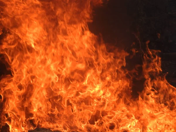 Κοντινό Πλάνο Των Όμορφων Ζωηρόχρωμων Καυσόξυλων Που Καίγονται Στη Φωτιά — Φωτογραφία Αρχείου