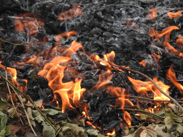 美しいビビッドの閉鎖は火で焼かれた薪を精錬した キャンプファイアと灰のオレンジの炎と大気暖かい背景 素晴らしいフルフレームのたき火のイメージ — ストック写真