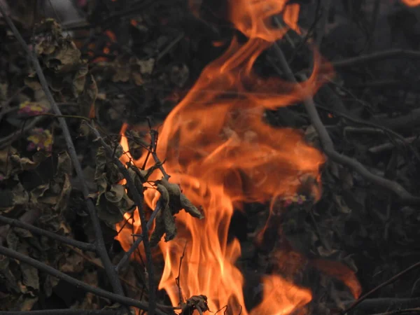 Nahaufnahme Wunderschöner Lebendig Glimmender Feuerhölzer Die Flammen Aufgingen Atmosphärisch Warmer — Stockfoto