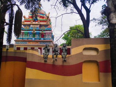 Bangalore, Karnataka, Hindistan-26 Ekim 2025: Japon temalı güzel zen parkı, Buddha Shanthi Kanive Nagarbhavi.