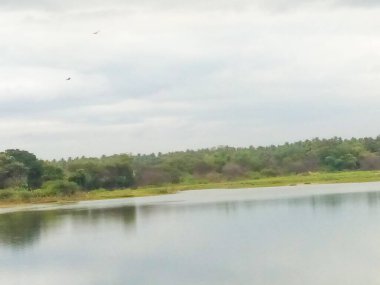 Channapatna bölgesinin güzel manzarası, Bevoor köyü gölü doğayla iç içe..