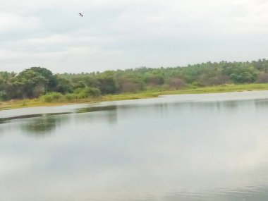 Channapatna bölgesinin güzel manzarası, Bevoor köyü gölü doğayla iç içe..