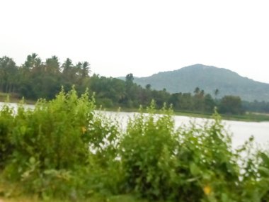 Channapatna bölgesinin güzel manzarası, Bevoor köyü gölü doğayla iç içe..