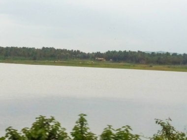 Channapatna bölgesinin güzel manzarası, Bevoor köyü gölü doğayla iç içe..