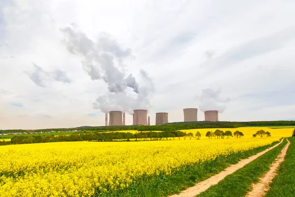 Centrale termica con campo di colza — Foto Stock