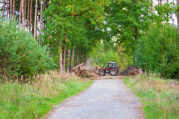 Heavy forest machinery working with logs