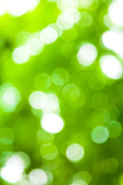 Zelené bokeh abstraktní světlo pozadí — Stock fotografie