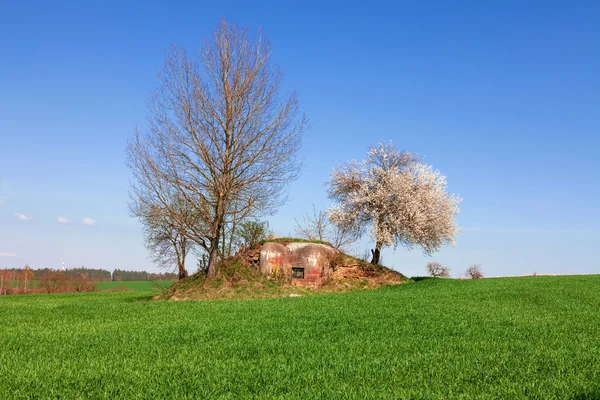 Old military bunker in green field — Stock Photo, Image