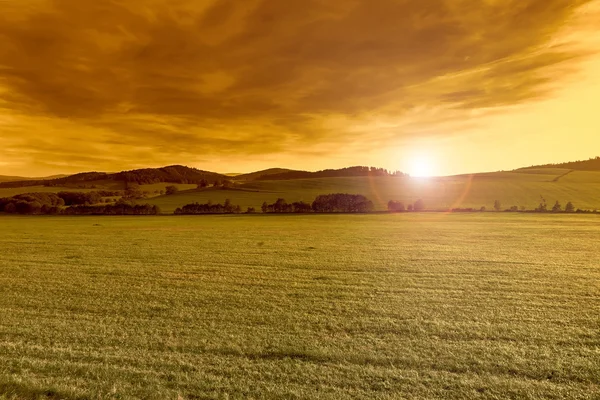 Spring beautiful landscape at sunset — Stock Photo, Image