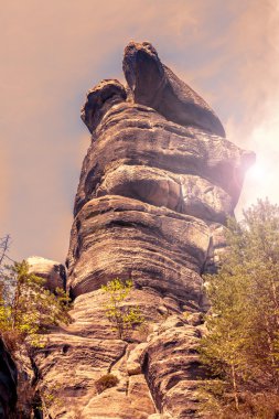 Adrszpach Milli Parkı-Teplice rocks, kayalarda güneşli gün - Çek Cumhuriyeti