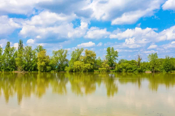 Lago con árboles y cielo nublado — Foto de Stock